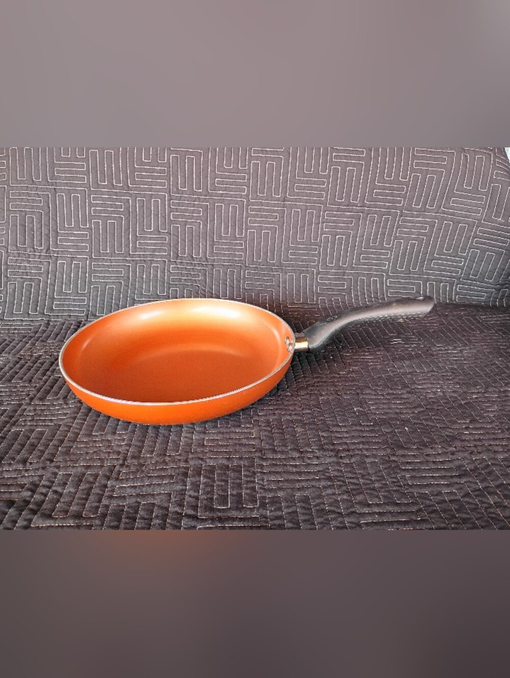 Ecolution Titanium Ceramic 11-Inch Fry Pan